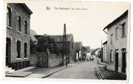 Op-Heylissem - Rue Olivier Benne - Helecine