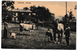 Linkebeek - Paysage - Linkebeek