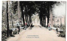 Cortenberg - L'Allée Du Prince - Kortenberg