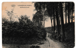 Ledebergh-Pamel - Kathemstraat - Roosdaal