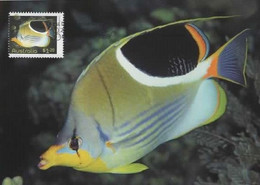 Australia 2010 Fish,Saddle Butterflyfishs,maximum Card - Maximumkaarten