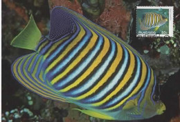 Australia 2010 Fish,Regal Angelfish,maximum Card - Cartas Máxima