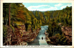 New York Adirondacks Ausable Chasm View From Bus Station At End Of The Trip Curteich - Adirondack