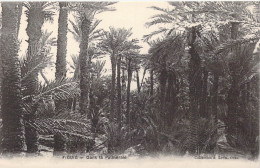 MAROC - Figuig - Dans La Palmeraie - Carte Postale Ancienne - Sonstige & Ohne Zuordnung