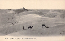 ALGERIE - Scènes Et Types - Paysage Saharien - Carte Postale Ancienne - Scènes & Types