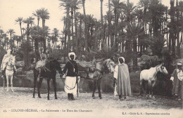 ALGERIE - Colomb-Béchar - La Palmeraie - Le Trou Des Chameaux - Carte Postale Ancienne - Autres & Non Classés