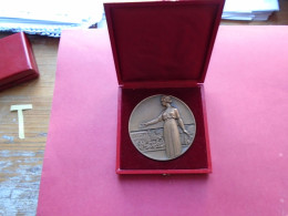 BELLE MEDAILLE BRONZE 185 GRAMMES + BOITE  SIGNEE P TURIN  LA PREVENTION ROUTIERE 1969 - Autres & Non Classés