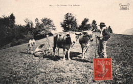 Agriculture - En Savoie, Le Labour, Attelage De Boeufs - Edition E. Reynaud - Carte N° 1642 - Cultures