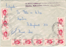 James Craik 1976 > Ital. Botschaft Buenos Aires - La Mosca Prepaga Muchas Enfermedades: Diarrea, Titoidea, Poliomielitis - Storia Postale