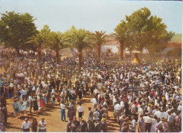 ESPAGNE - ESPANA - SEVILLA - SEVILLE - PELERINAGE DU ROSEE - ROMERIA DEL ROCIO - Sevilla