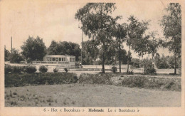 BELGIQUE - Bruxelles - Hofstade - Le Bootshuis - Carte Postale Ancienne - Other & Unclassified