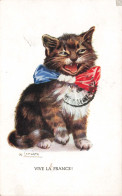 FANTAISIES - Un Chat Avec Un Nœud - Colorisé - Carte Postale Ancienne - Geklede Dieren