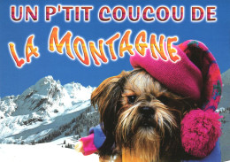MOUNTAIN, POSTCARD, DOG, SNOW, WINTER, FRANCE - Souvenir De...