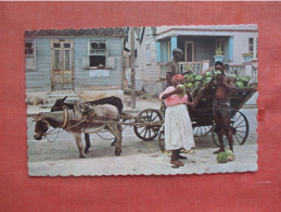 Coconut Vendor.  Barbados  Ref 6172 - Barbados (Barbuda)