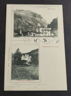 Cartolina Gressoney St. Jean - Villa Peccoz - Villa Regina Margherita                                                    - Aosta