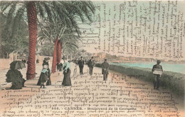 ILLUSTRATION - Une Allée Au Bord De La Mer - Animé - Colorisé - Carte Postale Ancienne - Contemporary (from 1950)