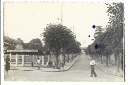 95 Cormeilles  En Parisis  - Le Marche  Et L'avenue Maurice Berteaux - Cormeilles En Parisis