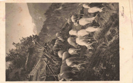 ANIMAUX - Moutons -  Troupeau De Moutons  - Carte Postale Ancienne - Sonstige & Ohne Zuordnung