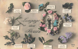 FLEURS - PLANTES - ARBRES - Langage Des Fleurs - Colorisé - Carte Postale Ancienne - Blumen