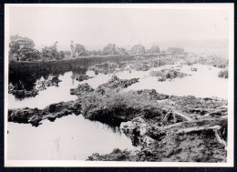 G4603 - Bergen Dohnsen Salzmoor - Foto Künstlerkarte - Bergen