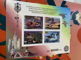 Birds Stamp Imperf Rare Russia Duck Limited Edition MNH - Canards