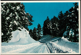 General Hitchcock Highway, Mt. Lemmon, Tucson, Arizona - Unused - Tucson