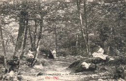 FRANCE - Brides Les Bains - Le Bois De Cylières  - Carte Postale Ancienne - Brides Les Bains