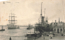 BELGIQUE - Anvers - La Rade - Panorama Du Port - Animé - Carte Postale Ancienne - Autres & Non Classés