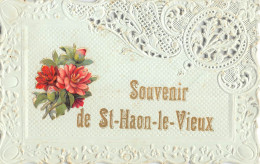 CPA 42 CPA BRODEE / SOUVENIR DE SAINT HAON LE VIEUX - Andere & Zonder Classificatie