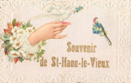 CPA 42 SOUVENIR DE SAINT HAON LE VIEUX / CPA GAUFREE - Other & Unclassified