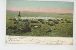 U.S.A - TEXAS - DALLAS -  A Thousand Acre Alfalfa Field  - Edit. RAPHAEL TUCK  N° 2378 - Dallas