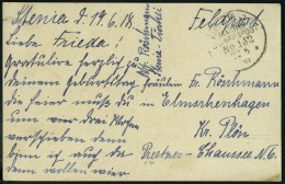 DP TÜRKEI 1918, MSP 132 (Torpedoboot), Ansichtskarte Aus STENIA, Pracht, R! - Turkey (offices)