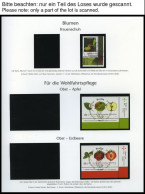 JAHRGÄNGE 2768-2834 O, 2010, Kompletter Jahrgang, Ohne Selbstklebende Marken, Jeweils Aus Der Rechten Unteren Bogenecke, - Used Stamps
