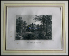 BAD IBURG: Das Schloß Vom Tiergarten Aus Gesehen, Stahlstich Von Rohbock/Höfer Um 1840 - Estampes & Gravures