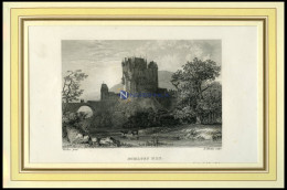 Schloß ELZ, Stahlstich Von Verhas/Winkles Um 1840 - Prints & Engravings