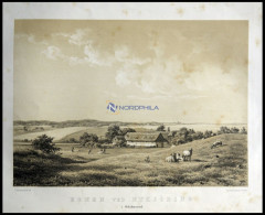 NYKÖBING (Egnen Ved Nykjöbing I. Odsherred), Blick über Ein Gut Auf Den See, Lithographie Mit Tonplatte Von J. Hellesen  - Litografia