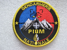 ECUSSON GEND. MONTAGNE LE PIGM OPEX OTAN ETAT EXCELLENT SCRATCH AU DOS 90MM - Policia