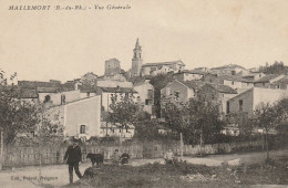 CPA-13-MALLEMORT-Vue Générale - Mallemort