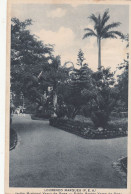 Portugal, Lourenço Marques, Postal Do Jardim Municipal Vasco Da Gama - Lourenco Marques