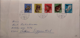 1966 LOCARNO PRO JUVENTUDE COVER TO SIGGENTHAL  SWITZERLAND SUISSE - Other & Unclassified