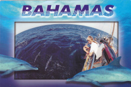 CPA - ”DOLPHINS”, FRIENDLY DOLPHINS ESCORT A PASSING SHIP IN THE TURQUOISE WATERS, BAHAMAS - AMERICA - Bahama's