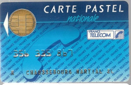 1-CARTE PUCE-BULL D-FRANCE TELECOM-PASTEL-NATIONALE- V° En Bas France Telecom BP840 75828-TBE - Tipo Pastel