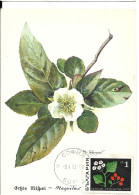 BULGARIE 1968  CARTE MAXIMUM  FLEURS-MESPILUS  YVERT N°1648 - Geneeskrachtige Planten