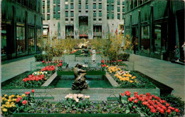 6-9-2023 (4 T 24) US Posted To France - New York City Rockfeller Center Channel Garden - Parcs & Jardins