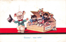 FANTAISIES - Animaux Habillés - Chatons En Rubans - Chien En Chapeau - Colorisé - Carte Postale Ancienne - Animales Vestidos