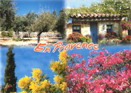 PROVENCE, RHONE ALPES, FLOWERS, SOUVENIR DE PROVENCE, FRANCE - Rhône-Alpes