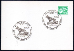 G4613 - Magdeburg - Sonderstempel - SDG Hunderasseausstellung - 1° Giorno – FDC (foglietti)