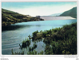 FOGGIA  DINTORNI :  LAGO  DI  OCCHITO  E  DIGA  SUL  FORTORE  -  FOTO  -  FG - Invasi D'acqua & Impianti Eolici