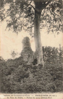 FRANCE - Environs De Cauderec En Caux - Maulevrier - La Tour Du Diable - Ruines Du Vieux  -  Carte Postale Ancienne - Cholet