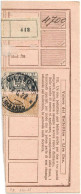 REGNO D'ITALIA - MODULO RICEVUTA DEI PACCHI L. 3 E L. 4 MILANO 7.6.1922 (SOLO PARTE DESTRA FRANCOBOLLI) SASSONE PP14/15 - Pacchi Postali